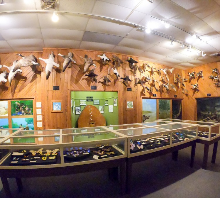 brazosport-museum-of-natural-science-photo